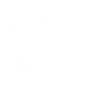 Engine Oil