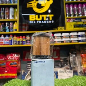 Imported Engine Oil Filter Cartridge Element for Haval H6 HEV (1.5L Turbo Hybrid)